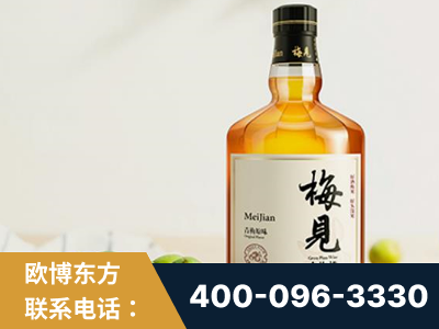 麻城-梅见青梅酒